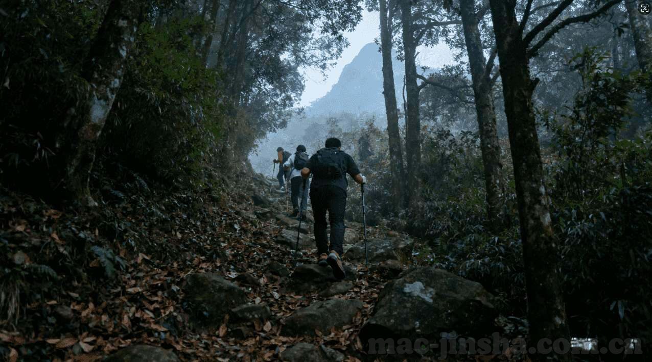 水果机老虎机程序-水果机老虎机程序，娱乐背后的数字奥秘
